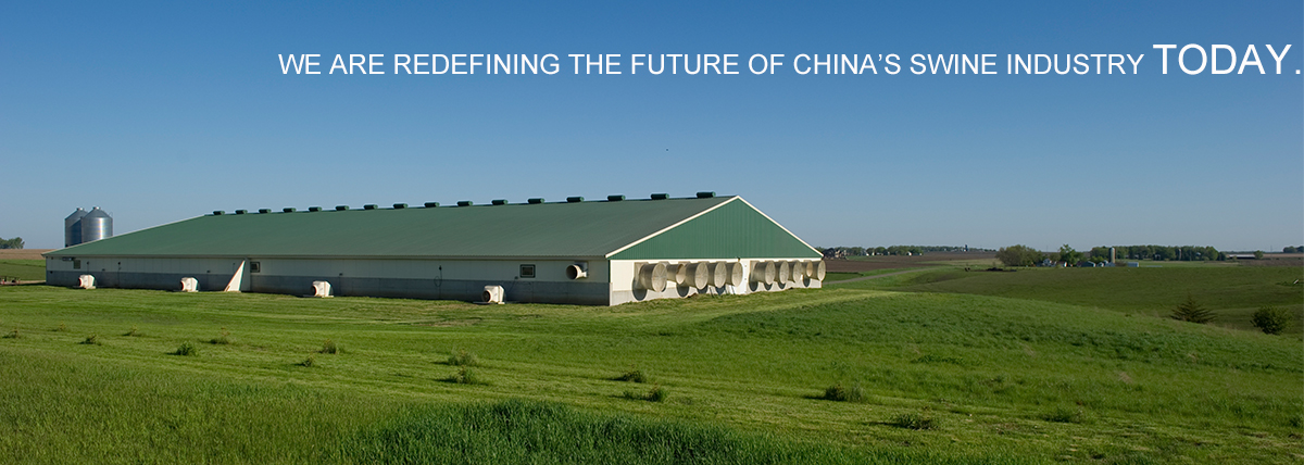 直播回放 | 派斯通养殖经验分享