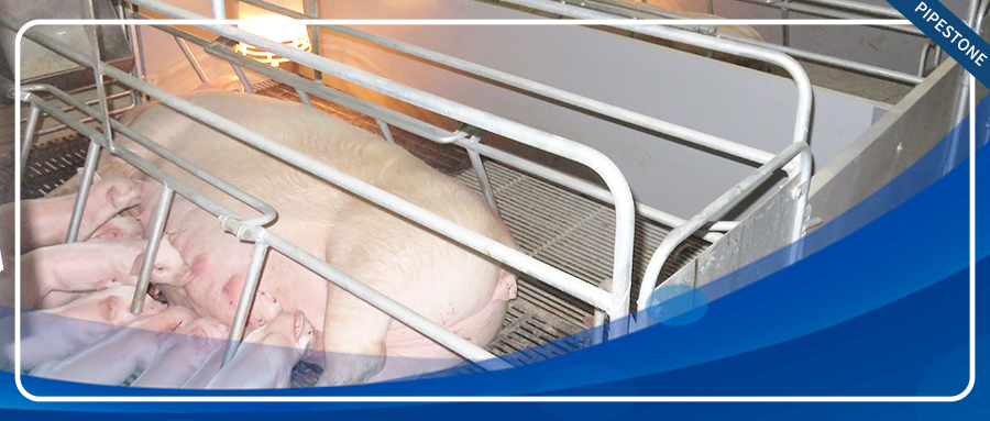 常见的产房腹泻类型有哪些？